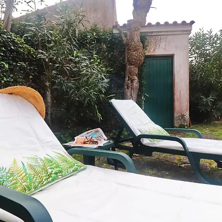 Vakantiehuis Grandma Bay House